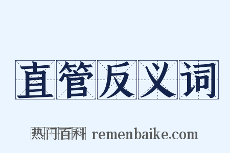 直管反义词是什么意思的图片